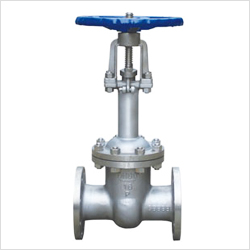 DZ41W手動低溫閘閥